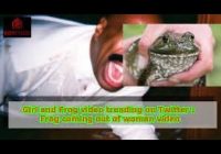 Viral Frog Video Twitter 2023